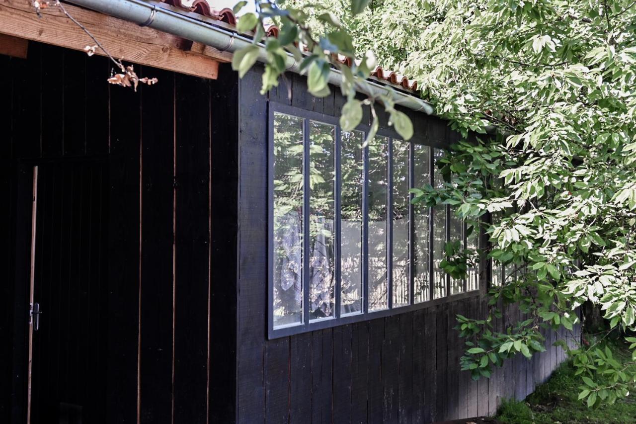 Gite Un Ange Passe En Perigord Le Buisson-de-Cadouin Εξωτερικό φωτογραφία